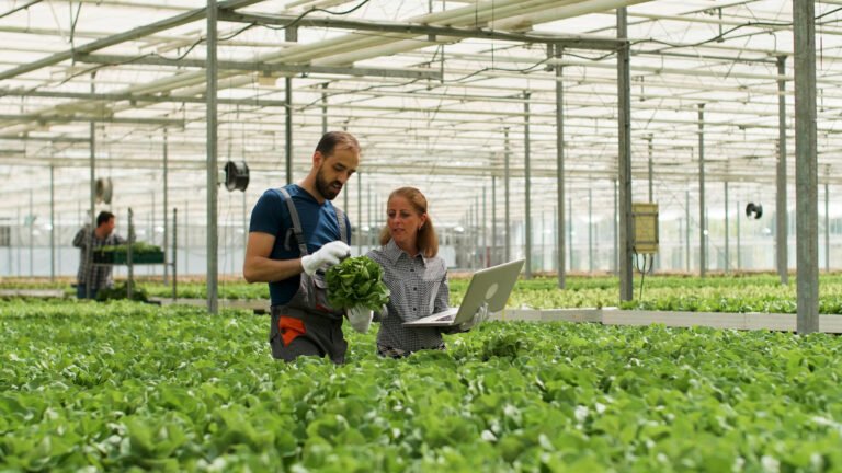 Future of Sustainable Farming