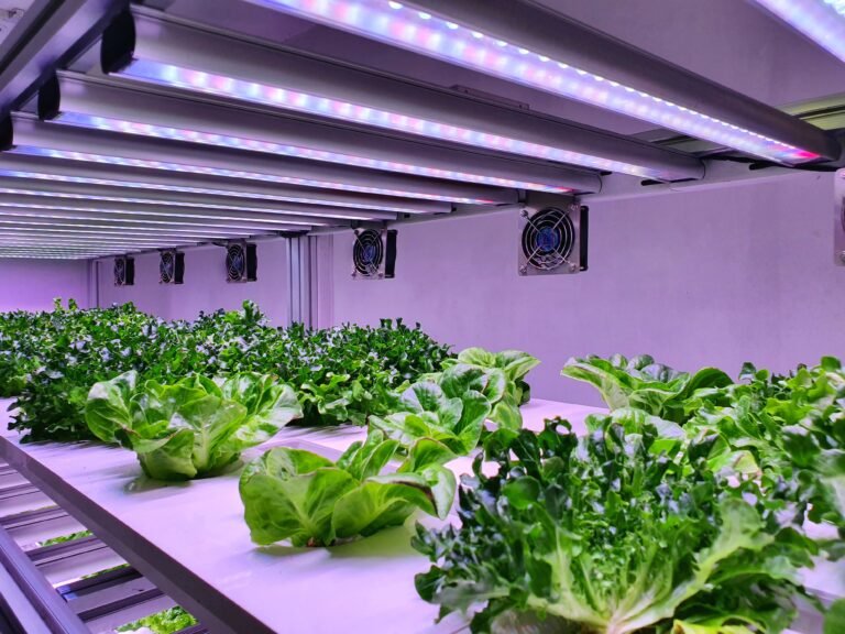 Hydroponics and Aquaponics