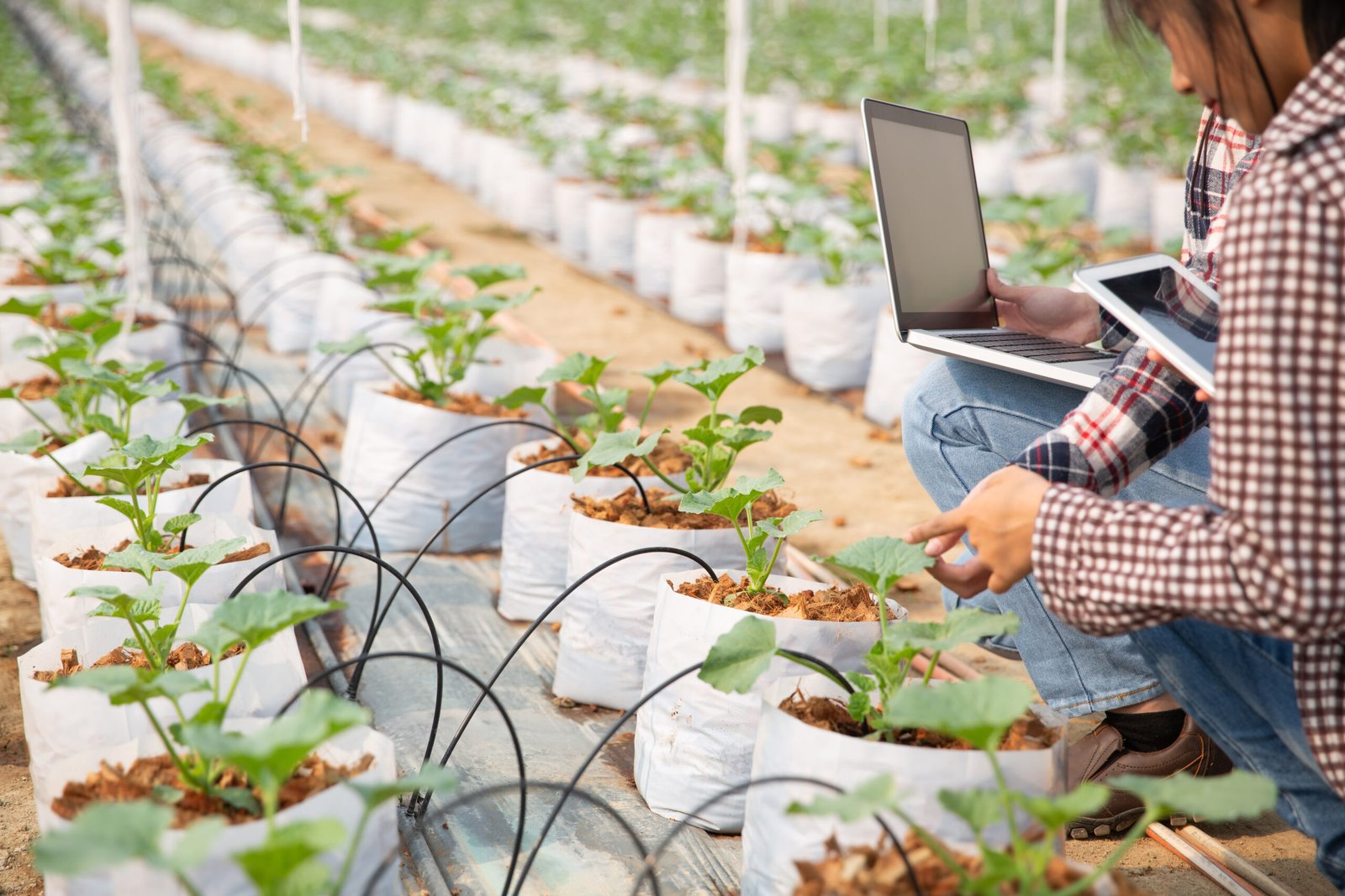 Top 10 Sustainable Agriculture Technologies for the Future
